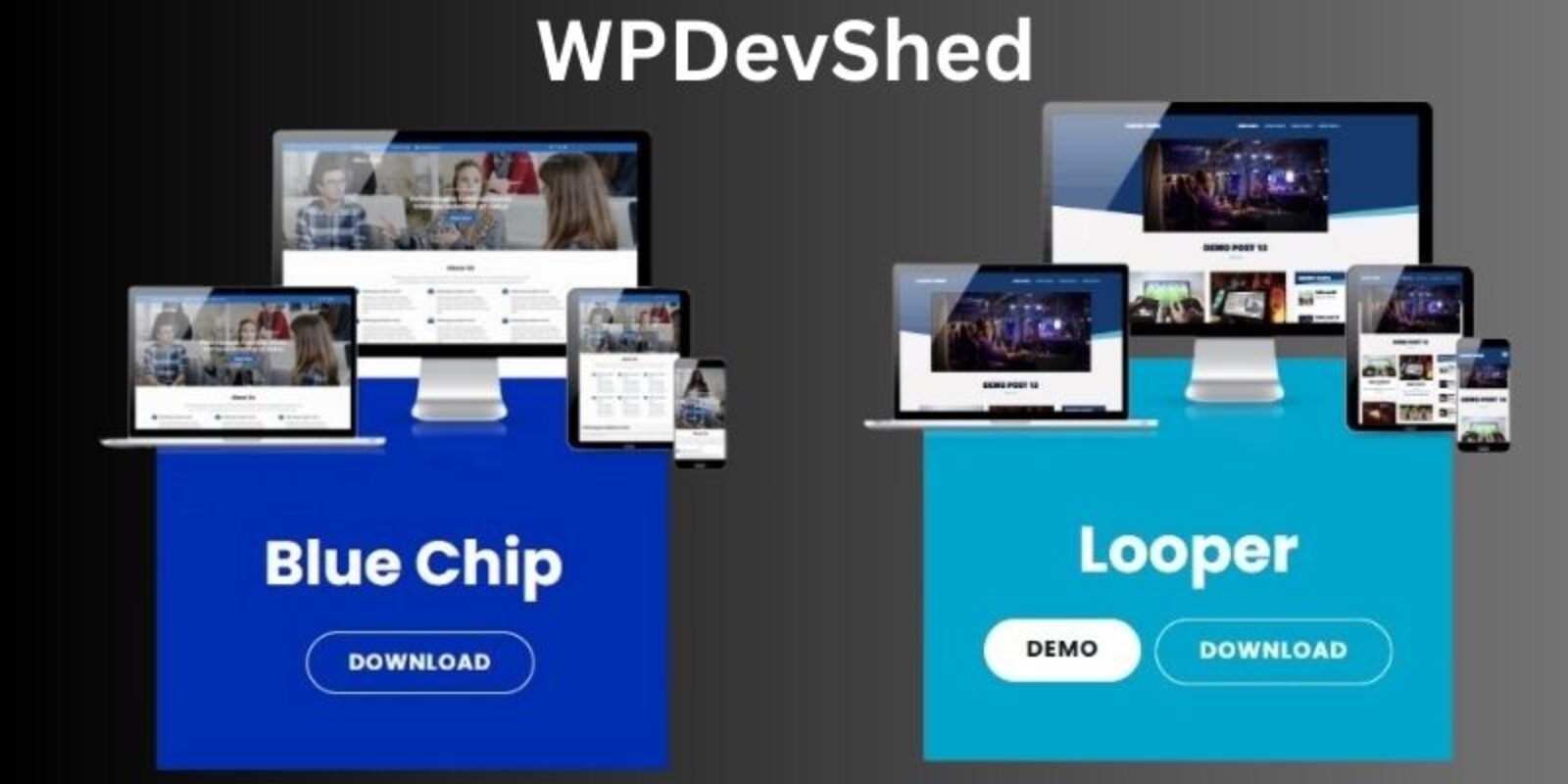 Features of WPDevShed